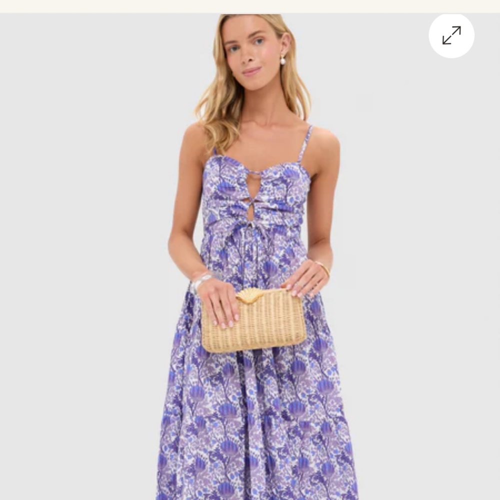 Tuckernuck Dress